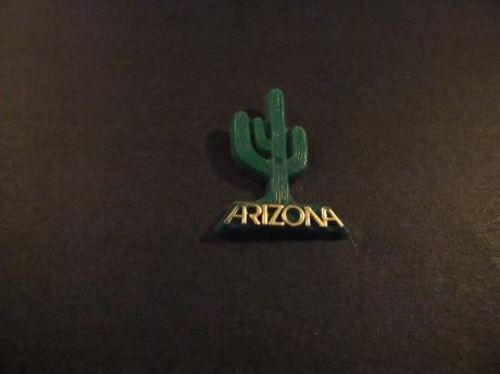 Arizona, staat van de Verenigde Staten ( Cactus)